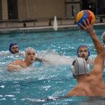 bellevue galeb 03032018 10