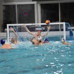bellevue galeb 03032018 12