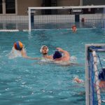 bellevue galeb 03032018 14