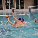 bellevue galeb 03032018 15