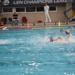 bellevue galeb 03032018 2