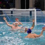 bellevue galeb 03032018 5