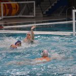 bellevue galeb 03032018 6