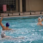 bellevue galeb 03032018 8