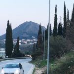cerjan 1