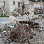 smece trstenik antun poljanic 2
