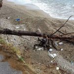 smece trstenik antun poljanic 4