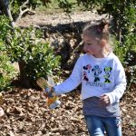 02042018 lokrum 16