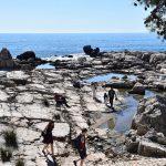 02042018 lokrum 20