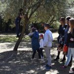 02042018 lokrum 7