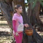 02042018 lokrum 9