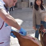 14042018 stradun prsut 12