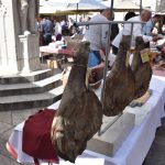 14042018 stradun prsut 2
