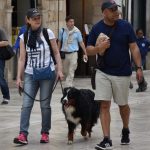 15042018 djir stradun spica 5