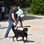 26042018 psi pas izlozba 26