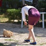 26042018 psi pas izlozba 3
