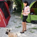 26042018 psi pas izlozba 30