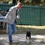 26042018 psi pas izlozba 42