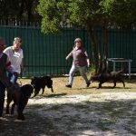 26042018 psi pas izlozba 73