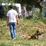 26042018 psi pas izlozba 77