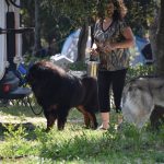 26042018 psi pas izlozba 83