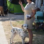 26042018 psi pas izlozba 89