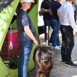 26042018 psi pas izlozba 95