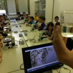 Festival znanosti Akvakultura 2