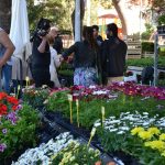Park Luja Soletica Sajam 15