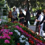 Park Luja Soletica Sajam 5