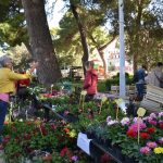 Park Luja Soletica Sajam 7