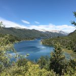 Pero Kojan Chile 15