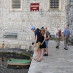 Rak Murina Porat 2