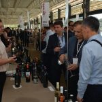 festiwine24