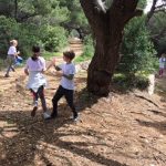 nacionalni park mljet 3