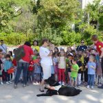 psi vodici humanitarna akcija 13