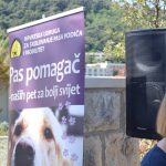 psi vodici humanitarna akcija 5