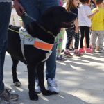 psi vodici humanitarna akcija 7
