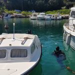 ronioci ciscenje mandraca 12