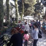 sajam cvijeca uvala 1