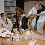 sveuciliste restauracija 2