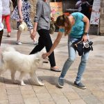 13052018 djir stradun 9