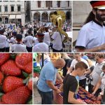 13052018 jagode limena komolac 000