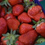 13052018 jagode limena komolac 1