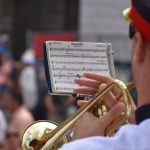 13052018 jagode limena komolac 15