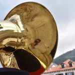 13052018 jagode limena komolac 16