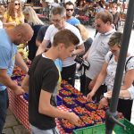 13052018 jagode limena komolac 3
