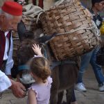 20052018 konavle ledenice vino 8