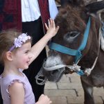 20052018 konavle ledenice vino 9