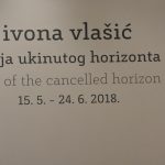 DMP vlasic20